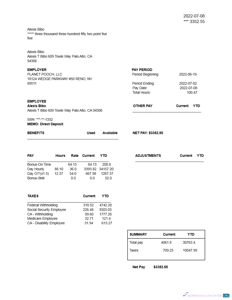 Download PLANET POOCH, LLC earnings statement template in Word and PDF formats.pdf, 1 Photoshop template